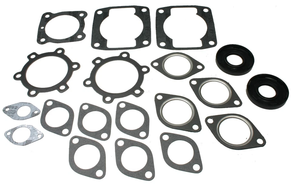 Arctic Cat Cheetah 5000, 500 cc, 1976 1977 1978, Juego completo de juntas con sellos Foto 1 de 1