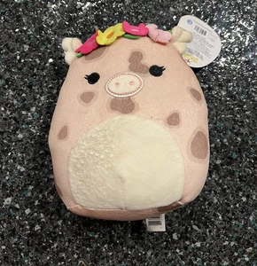 Squishmallows AQUITAINE geflecktes Schwein - 7,5" Neu mit Etikett - Bild 1 von 5