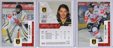 2017/18 DEL2 Playercards: EC Bad Tolz [Lot of 22]