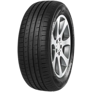 MINERVA Sommerreifen 225/60 R 16 XL TL 102V F209 - Bild 1 von 3