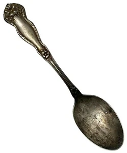 Wm. ROGERS & SONS 1908 ARBUTUS MUSTER 6" LÖFFEL VINTAGE - Bild 1 von 8