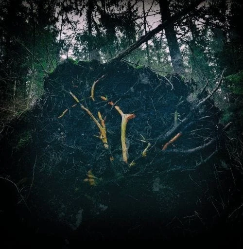 AUKELS - raynkaym - CD - Image 1 of 1