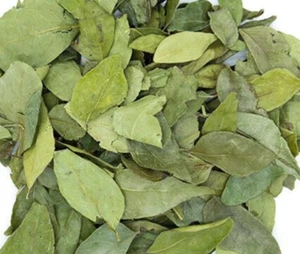 Getrocknete Curryblätter, Le Kaloupilé oder Caloupilé, Bio-Blätter - Bild 1 von 2