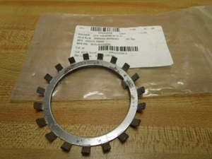 Goulds Pumps 8910-0013-0000 Washer, Lock Bearing 8910-0013 - Picture 1 of 5