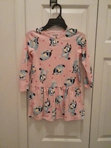 Bluey Toddler Girls Pink Long Sleeve Drop Waist Dress Size 5T New - Picture 1 of 6