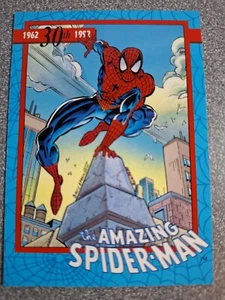 Spider-Man Card Spider-Man #SM-1 d600 - Bild 1 von 2