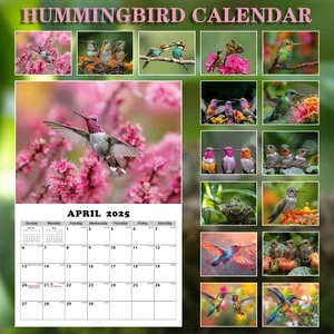 2025 Hummingbird Calendar For Bird Lovers Conservationists Earth & Nature Lover - Picture 1 of 7