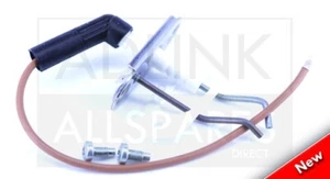 CALDERA ELECTRODOS HEATLINE MONZA / CAPRIZ PLUS 20038441 - Imagen 1 de 3