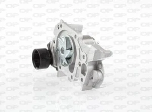 POMPA ACQUA per DACIA SANDERO RENAULT CLIO II KANGOO MODUS - Imagen 1 de 1