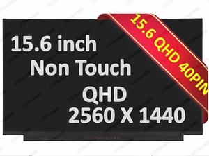 240Hz 15.6" QHD LCD Screen LP156QHG-SPV1 for Dell Alienware M15 R5 R6 P109F New - Picture 1 of 4