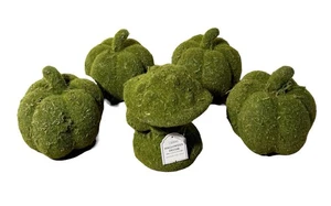 Juego de 5 calabazas y setas decorativas de Halloween musgo sintético ojo de buey NUEVO - Imagen 1 de 4