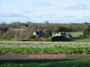 PHOTO HOME FARM AND HOME FARM COTTAGES LITTLE BETTESHANGER. VIEW ACROSS FARMLAN - Picture 1 of 1