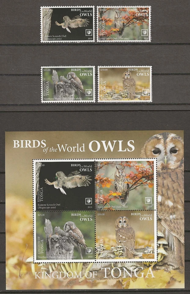 TONGA 2019 SG 1905/1908 + MS 1908a MNH - Image 1 of 1