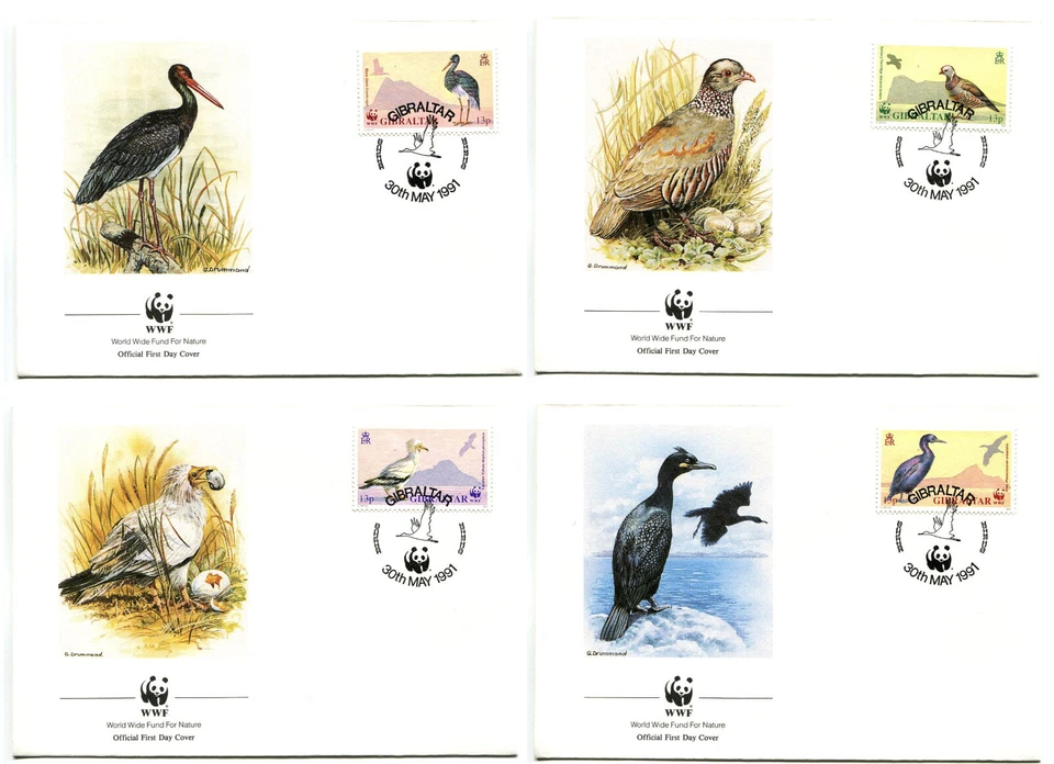 WWF E74 Gibraltar 4 FDC 1991 Fauna Birds - Image 1 of 1