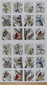 23.5" X 44" Panel Beautiful Birds Bird Birdwatching Cotton Fabric Panel D505.30 - Picture 1 of 1