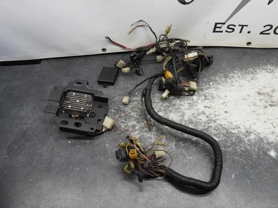 Lote elétrico e chicote de fios Yamaha RZ 350 RZ350 Kenny Roberts 2902 - Imagem 1 de 4