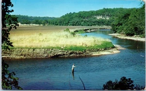 A Scene to Delight any Sportsman, Field and Stream Postcard c1951 - Picture 1 of 2