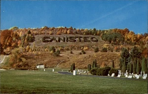 Letrero de árbol vivo Canisteo Nueva York otoño follaje antena postal vintage sin usar - Imagen 1 de 2
