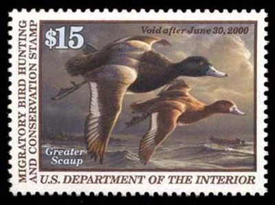 RW66 — 1999 Greater scaup, XF-Superb 95, PSE Certificate - Image 1 of 2