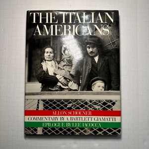 The Italian Americans by Allon Schoener 1987 Vintage Book ObjecsYouLove - Picture 1 of 9