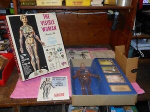 RENWAL  1960 ISSUE THE VISIBLE WOMAN ASSEMBLY KIT - Amazing Condition