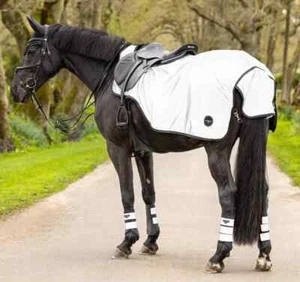 LeMieux Reflective Exercise Sheet HiViz Warm Waterproof Fleece Riding Rug Small - Picture 1 of 1