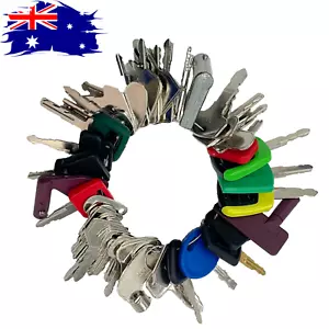 50PCS Heavy Equipment Construction Machines master Key for Volvo Bobcat JCB Case - Picture 1 of 7