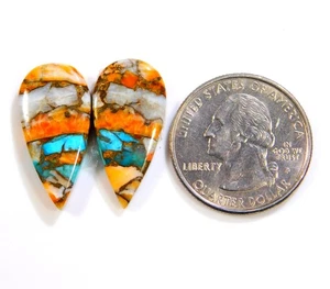 100% Natural Kingman Spiny Oyster Turquoise Pair Pear Cabochon Gemstone BU=297 - Imagen 1 de 5