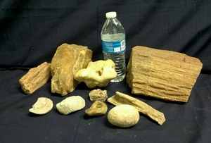LQQK - Great lot of over 15 Pounds of Petrified Wood Specimens and more. - Picture 1 of 11