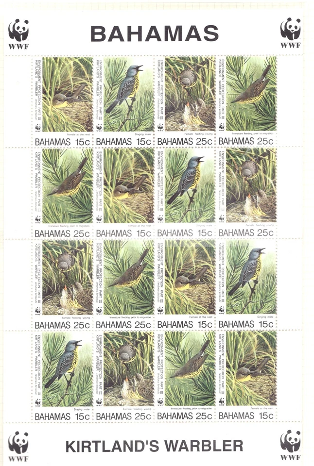 1995 Bahamas Sc# 829Cd s/s - Kirtland's Warbler w/ WWF Promo MNH Cv$21 - Image 1 of 1