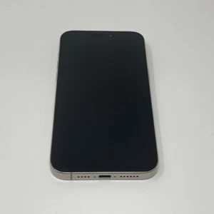 Apple iPhone 15 Pro Max 256GB Unlocked (eSIM Only) Natural Titanium Very Good - Picture 1 of 4