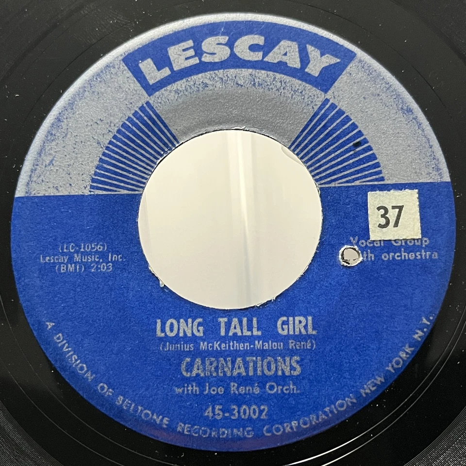 Rock, Blues, Pop Carnations With Joe René Orch.* - Long Tall Girl  Foto 1 de 2