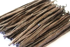 25 NATURAL VANILLA BEANS-PODS FROM MADAGASCAR 5-7" FROM SAMBAVANILLA - Picture 1 of 3