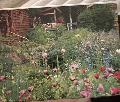 Rompecabezas Kodacolor 1000 piezas - Willow, Alaska 2003 Foto 1 de 3