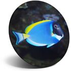Awesome Fridge Magnet  - Blue Yellow Tropical Sea Surgeon Fish  #44404