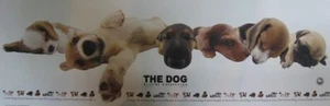 Slim Poster The Dog - Picture 1 of 1