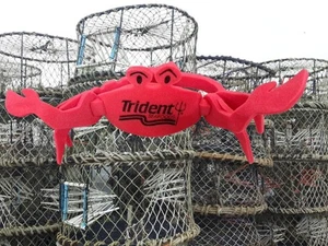 Gorra de cangrejo de mariscos tridente de Alaska gorra mortífera captura rey cangrejo feria estatal - Imagen 1 de 3