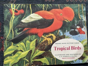 Álbum completo de tarjetas de té Brooke Bond de colección de aves tropicales Tunnicliffe - Imagen 1 de 8
