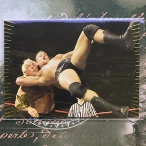 Randy Orton 2007 Topps WWE Action Card #12 - Bild 1 von 6