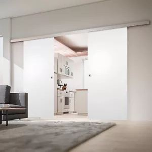 Doppel Holzschiebetür 2x 880x2035 Schiebetürsystem Doppelschiebetür Holz Tür - Bild 1 von 45