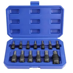 WORKPRO 13PC Torx Bit Socket Set 1/4" 3/8" 1/2 Drive Hex Allen Socket Set T8-T60 - Foto 1 di 8