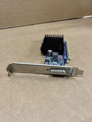 PNY Technologies inc GeForce 8400 GS DDR2 512MB Pcie 2.0 VCG84DMS5SXPB Graphics  - Image 1 of 4