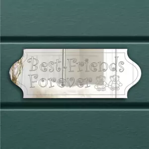 BEST FRIENDS Door Sign Singage Plaque Acrylic Mirror Any Name/Room-Stick or Hang - Picture 1 of 11