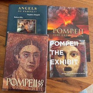 4 Pompeii Books & Exhibits Collection Featuring Artifacts Statues & History - Imagen 1 de 15