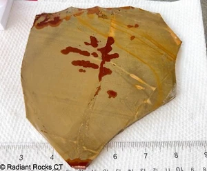 Owyhee Red Flower Jasper Lapidary slab 8.8 oz (250grams) - Picture 1 of 4