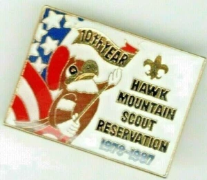 Boy Scouts Hawk Mountain Council 1987 Scout Camp Cloisonné Pin 10th Anniversary  - Picture 1 of 1