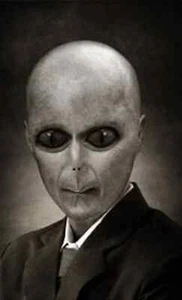 MALE GREY ZETA RETICULI ALIEN LIVING ENTITY COMPANION~ TANGIBLE~ - Picture 1 of 2