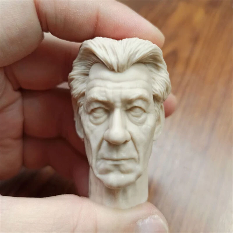 1/6 Magneto Ian McKellen неокрашенная голова скульптура для 12'' мужской фигуры тела новый - Изображение 1 из 4