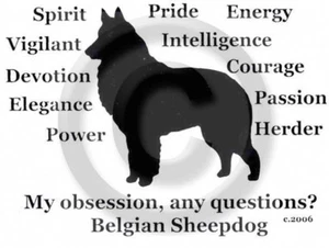 Belgian Sheepdog My Obsession, Any Questions? T-shirt  Choices - Bild 1 von 9