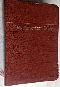 2010/2011 NEUE AMERIKANISCHE BIBEL ÜBERARBEITET ST JOSEPH PERSÖNLICHE GRÖSSE AUSGABE ILLUSTRIERT - Bild 1 von 8